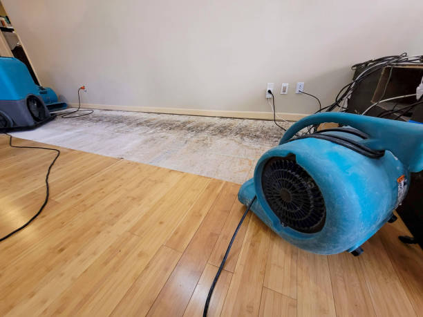 Professional Flood Damage Cleanup technician working in Armstrong, MO